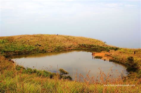 Tales Of A Nomad: Chembra Peak- Trek to the Heart Shaped Lake