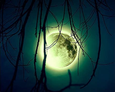 720P free download | Moon, sky, trees, night, HD wallpaper | Peakpx