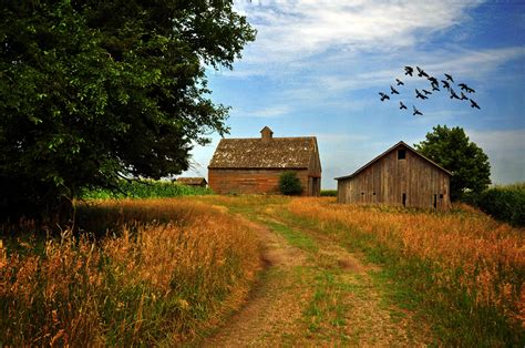 "A Life in the Heartland:" Dennis Keeney Reflects on Mid-Century Farming | Iowa Public Radio