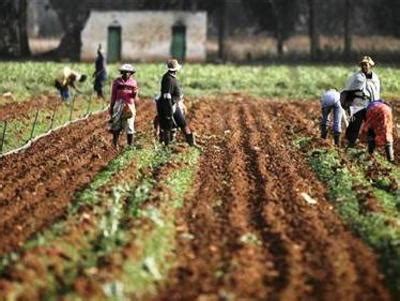 Plant & Crop Science Blog: Traditional farm methods help climate adaptation