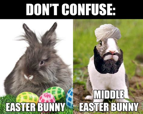 Funny Easter Bunny Memes – Memeologist.com