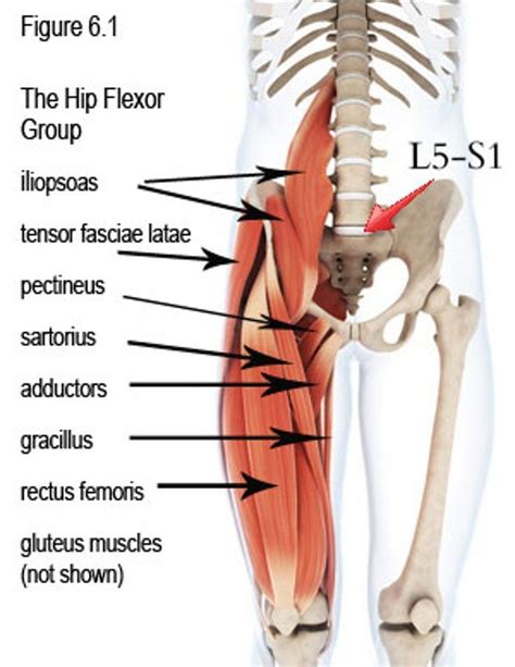 Pin on Athletic Mobility