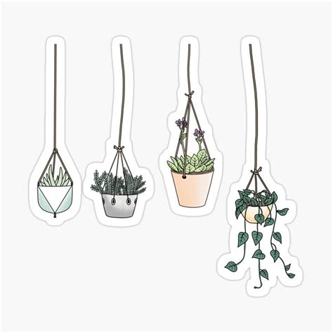 Hanging Plant Aesthetic Sticker by Jamie Maher | Pegatinas imprimibles, Pegatinas bonitas ...