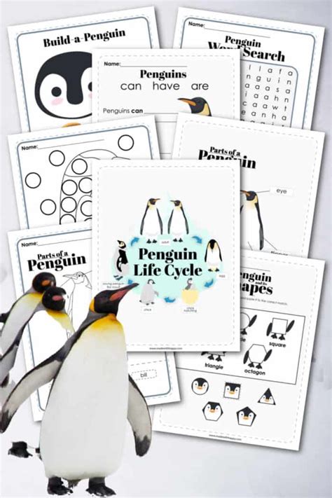 Penguin Life Cycle - Printable Penguin Activities - Made with HAPPY