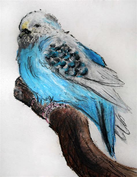 Oil Pastel Bird by TokiiDokiiGirl on DeviantArt