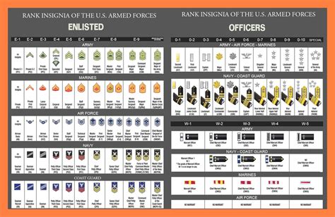 U.S. Military Rank Insignia (Enlisted & Officer) | Military ranks, Ranking, Insignia