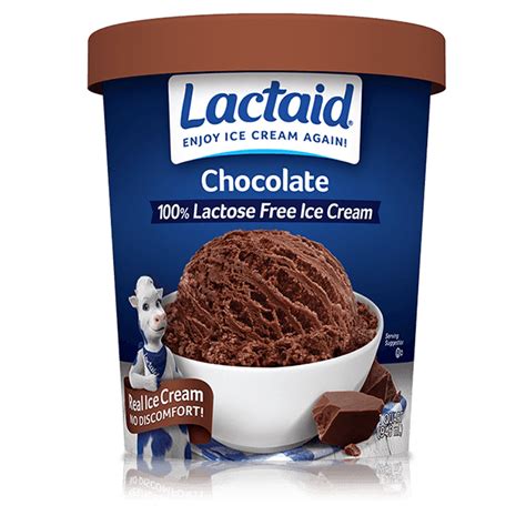 Lactaid Chocolate Ice Cream Recipe | Dandk Organizer