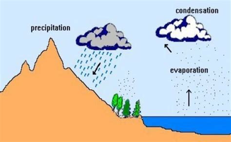 Proses Kondensasi Pada Siklus Air Sederhana In English - IMAGESEE