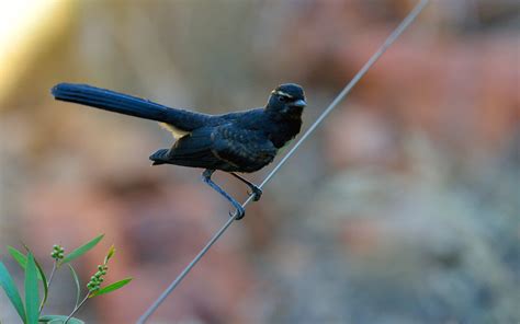 7 Reasons to go Beyond Uluru and Visit Kings Canyon