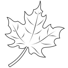 Drawing A Leaf | Трафарет листа, Шаблон листа, Листья