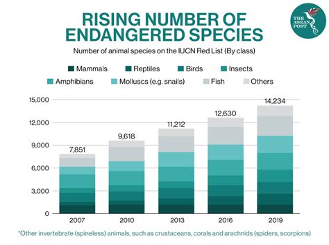 Southeast Asia’s Endangered Primates | The ASEAN Post