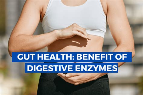 Benefits of Digestive Enzymes to Our Gut Health