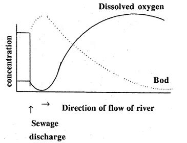 (1) What is the relationship between dissolved oxygen and biochemical oxygen demand (BOD ...