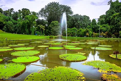 Tahun Ini Kebun Raya Bogor Diharapkan jadi Situs Warisan Dunia – Portal Sains