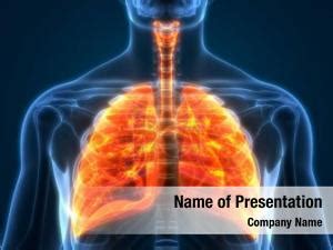 System human circulatory heart anatomy PowerPoint Template - System ...