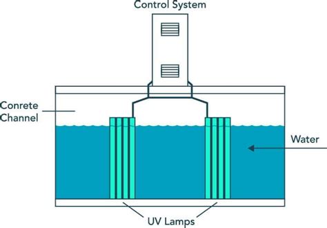 Can A Uv Light Disinfection Water | Shelly Lighting