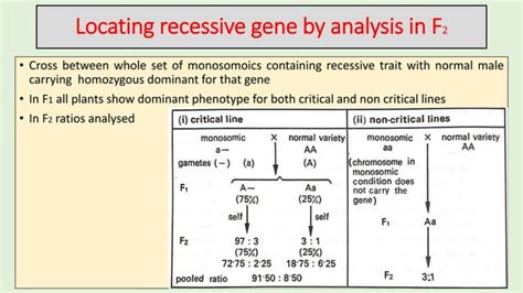 Cytogenetic techniques for gene location and transfer | PPT