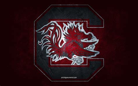 South Carolina Gamecocks, American football team, burgundy background, South Carolina Gamecocks ...