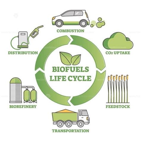 Biofuel life cycle diagram as production, consumption process outline diagram - VectorMine