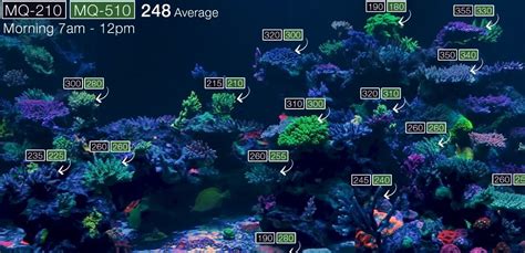 PAR & Reef Tank Lighting Schedules: What's The Ideal Output Intensity For Your LED Light ...