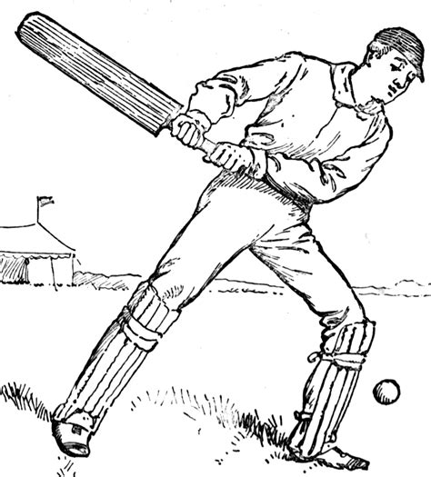 Cricket | ClipArt ETC