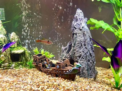 Share 155+ sunken pirate ship aquarium decoration latest - vova.edu.vn