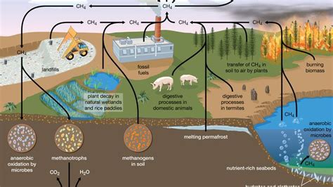 methane | Definition, Properties, Uses, & Facts | Britannica