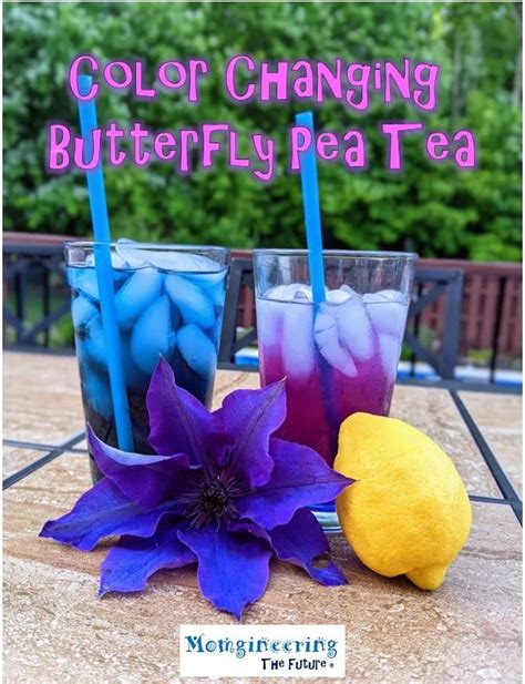 Color Changing Butterfly Pea Tea – Momgineering the Future