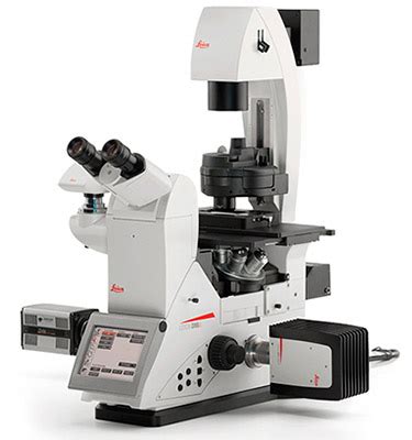 Leica DMi8 Inverted Microscope | Cairn Research Ltd