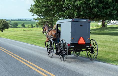 5 Reasons to Visit Amish Country. Attractions, Restaurants, Shopping, Hotels.