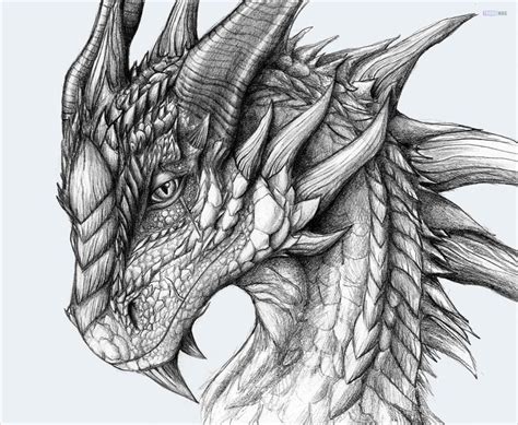 How To Draw A Realistic Dragon Easy Tutorial - Toons Mag