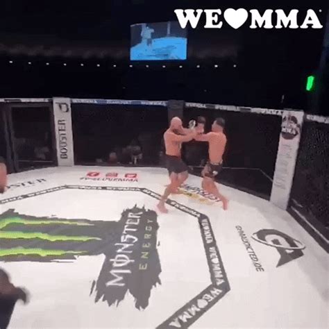 Mixed Martial Arts Fighting GIF by We love MMA - Find & Share on GIPHY