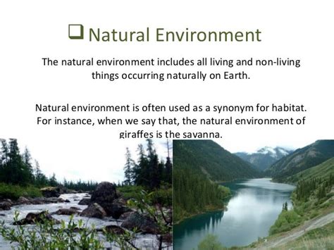 Types of environment