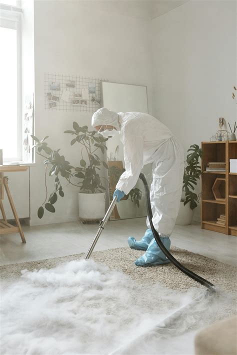 Man in White Dress Shirt and Pants Holding Vacuum Cleaner · Free Stock Photo