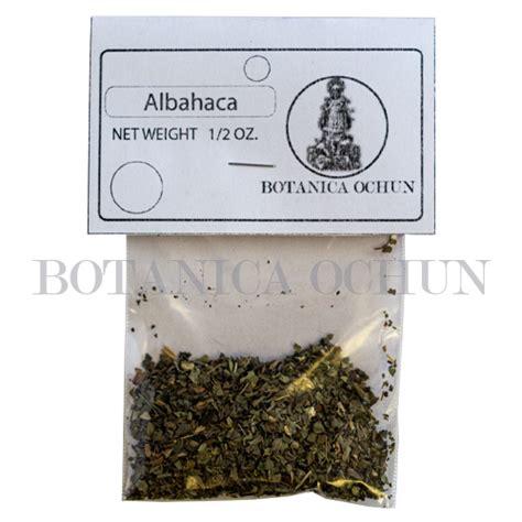 BASIL HERB - BOTANICA OCHUN