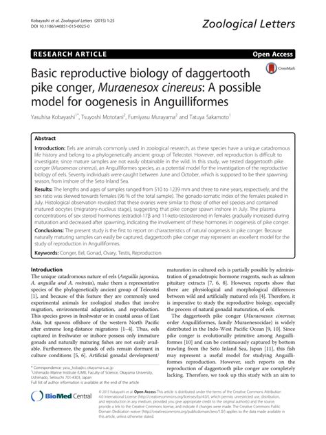 (PDF) Basic reproductive biology of daggertooth pike conger, Muraenesox cinereus: A possible ...