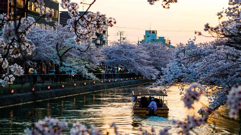 Kyoto Travel Guide: Explore Japan’s Scenic, Spiritual City