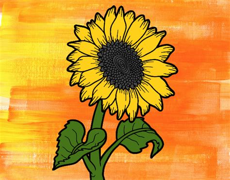 Dibujo de Flor de girasol pintado por en Dibujos.net el día 22-03-20 a ...