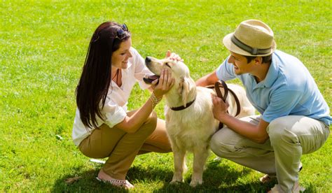 Benefits of Outdoor Dog Training | Michael's Pack | Dog Training NJ