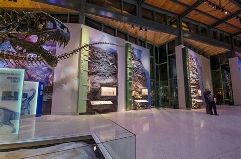 The Witte Museum: Dinosaur Gallery :: Behance