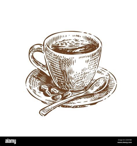 Cup of coffee sketch. Vintage vector illustration. Menu design for cafe ...