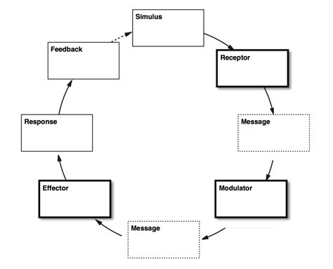 Thermoregulation - feedback loop 1 Diagram | Quizlet