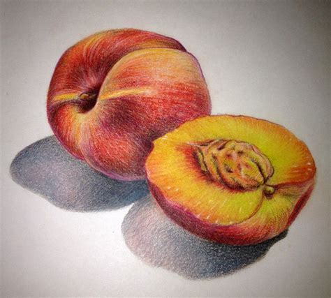 food illustration | Color pencil drawing, Fruit art drawings, Fruit sketch