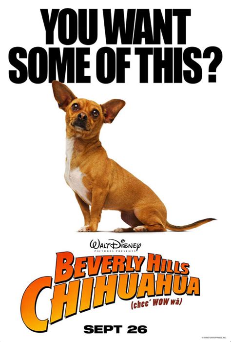 Beverly Hills Chihuahua (2008) Poster #1 - Trailer Addict