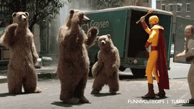 Bear GIF | Bear gif, Funny gif, Gif