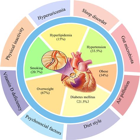 Non-Traditional Risk Factors as Contributors to Cardiovascular Disease