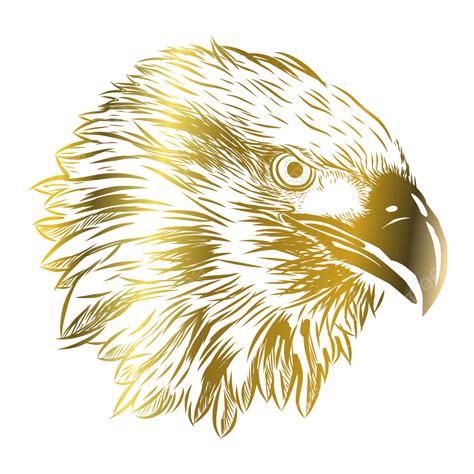 Hand Drawn Eagle Vector Design Images, Golden Eagle Hand Drawn Vector ...