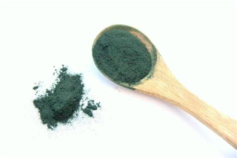 Spirulina Extraction Process; Methods; Techniques | Agri Farming