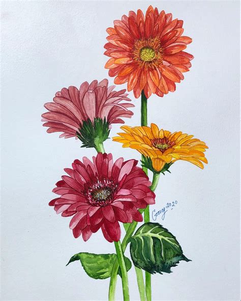 Gerbera Daisy Watercolor Painting