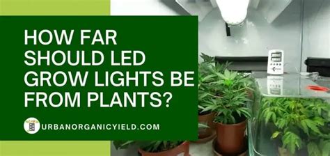 Can You Use Regular Led Lights For Grow Lights?